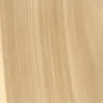 hickory hickory