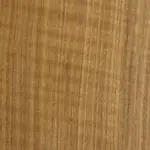 qswo qswo